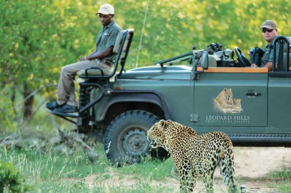 Explore & Travel Africa- Top 20 Sabi Sands Safari Lodges