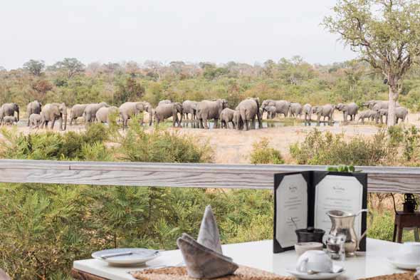 Explore & Travel Africa- Top 20 Sabi Sands Safari Lodges