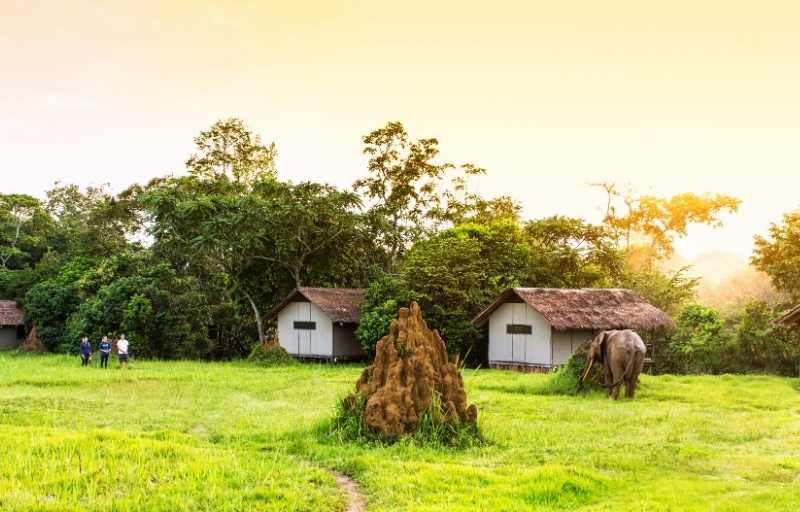 Explore & Travel Africa - A Congo Safari Mboko Camp