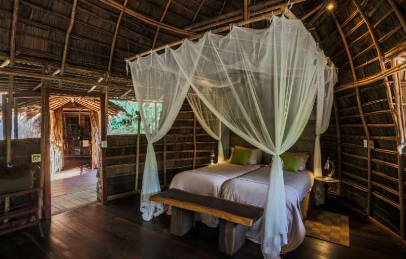 Explore & Travel Africa - A Congo Safari Ngaga Camp