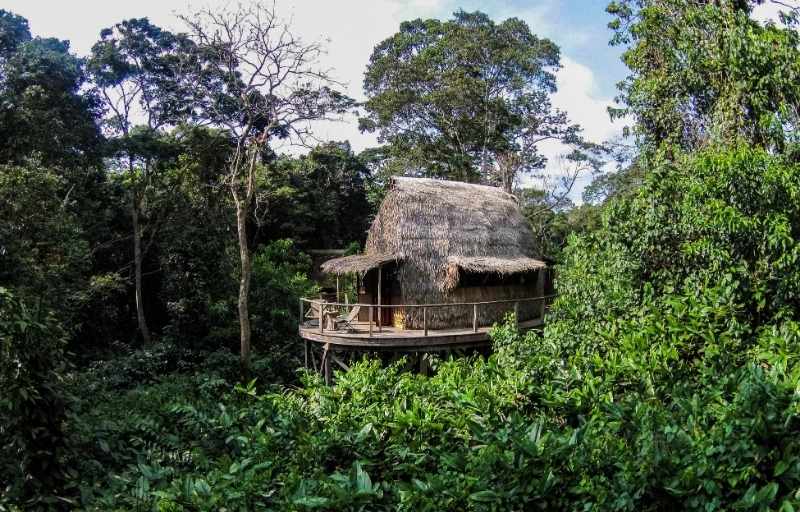 Explore & Travel Africa - A Congo Safari Ngaga Camp