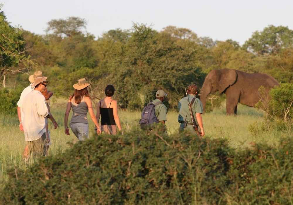 Explore & Travel Africa - Walking Safaris in Africa