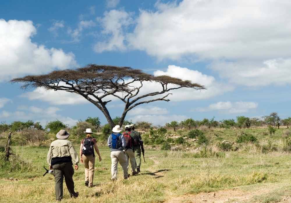 Explore & Travel Africa - Walking Safaris in Africa