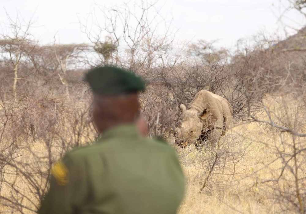 Explore & Travel Africa - Walking Safaris in Africa