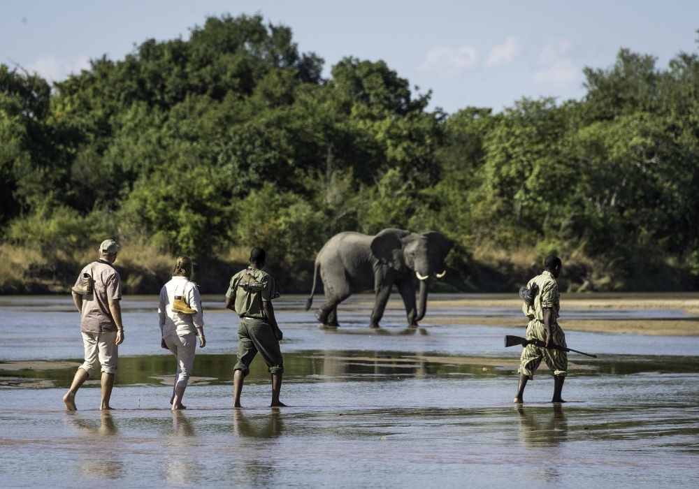 Explore & Travel Africa - Walking Safaris in Africa