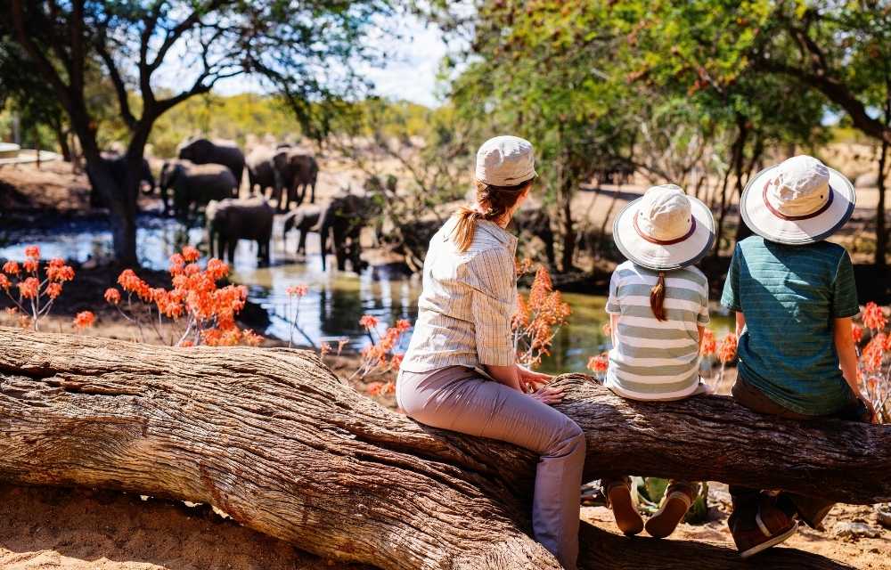 Explore and Travel Africa - Top 10 Reasons to go on an African Safari