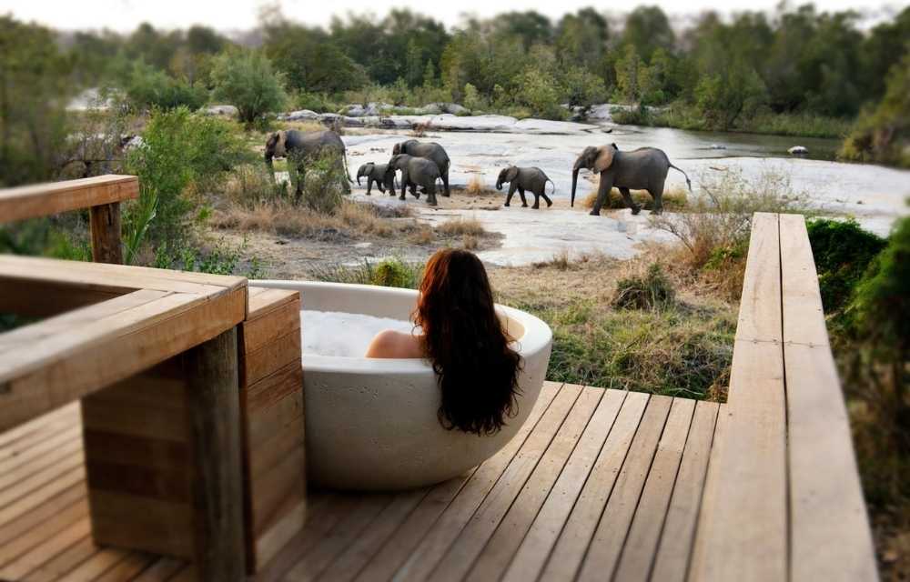 Explore and Travel Africa - Top 10 Reasons to go on an African Safari