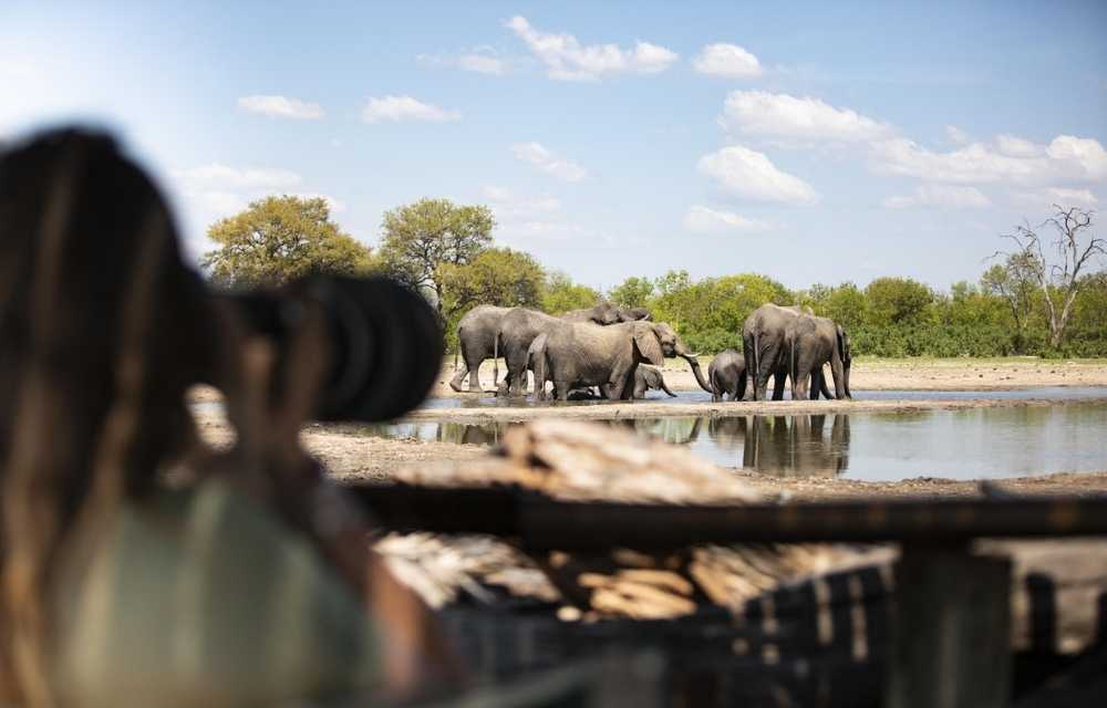 Explore and Travel Africa - Top 10 Reasons to go on an African Safari