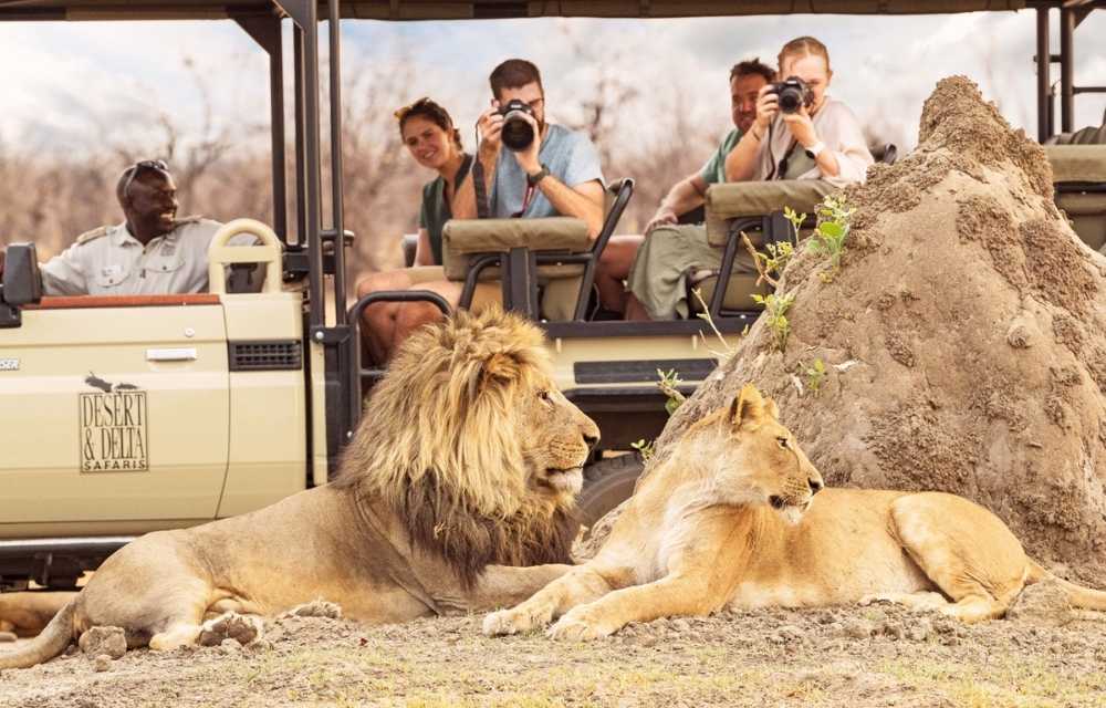 Explore and Travel Africa - Top 10 Reasons to go on an African Safari