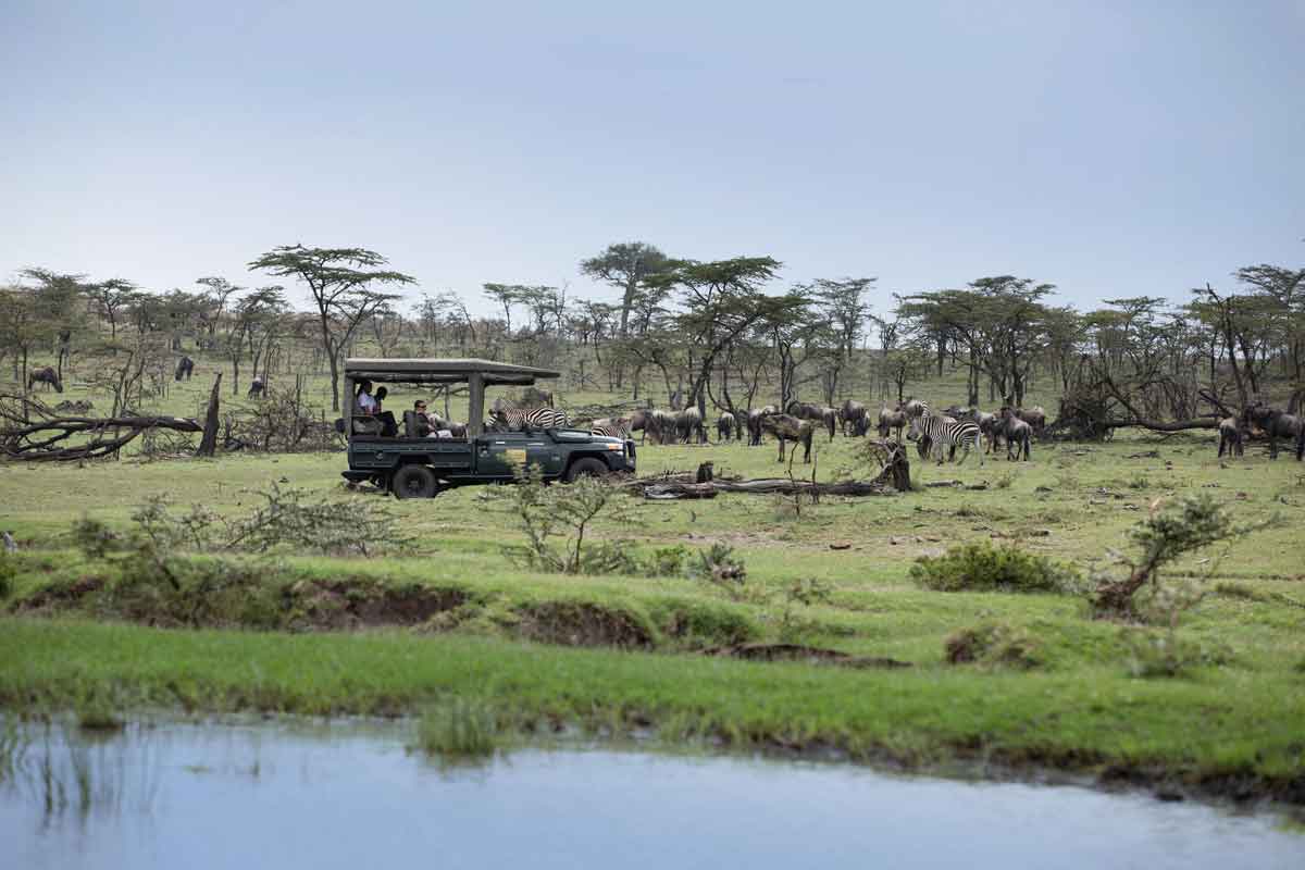 Explore & Travel Africa - Best of Kenya Safari by Great Plains