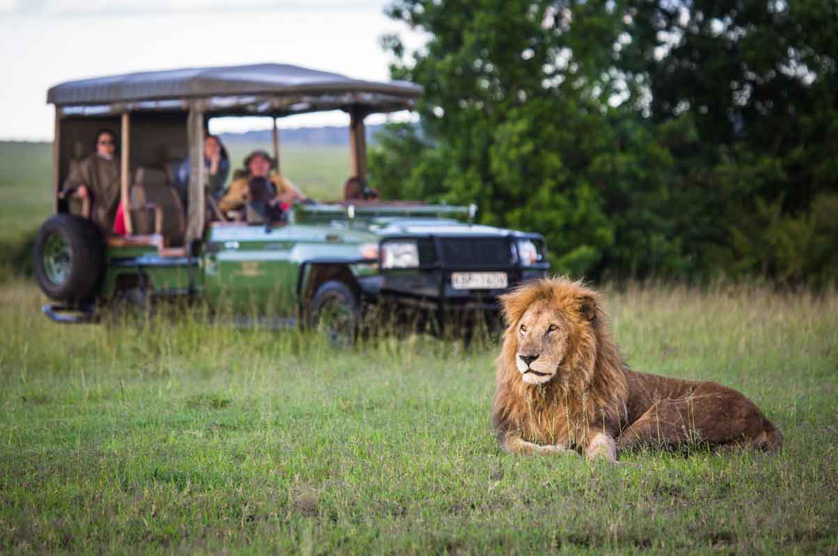 Best of Kenya Safari by Great Plains