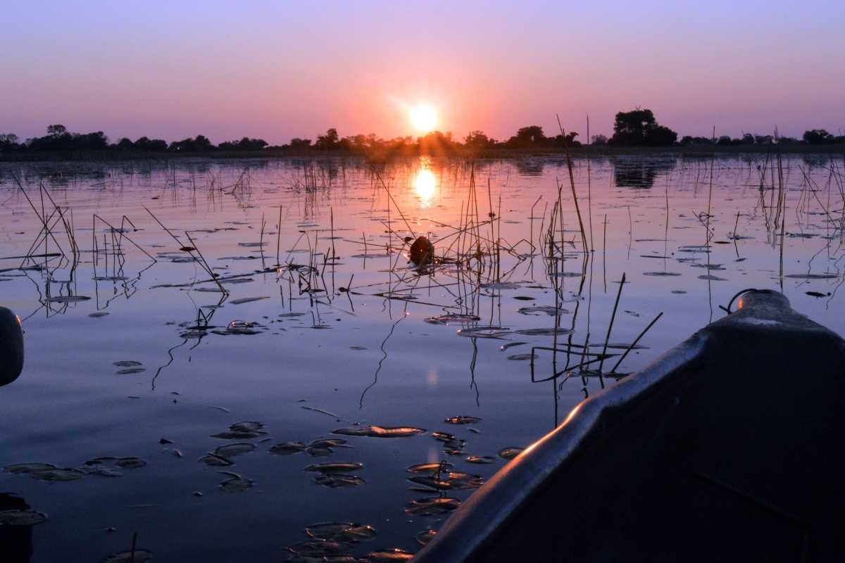 Explore & Travel Africa - Botswana Safaris