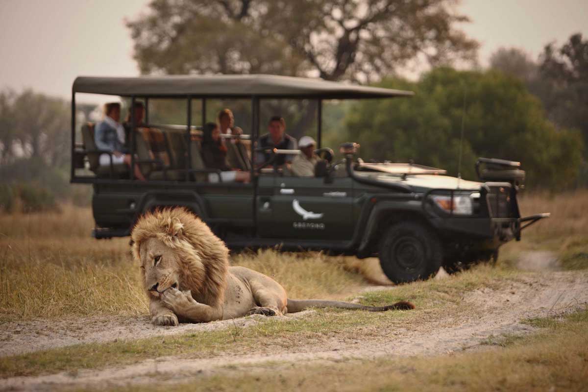 Explore & Travel Africa - Botswana Safaris 