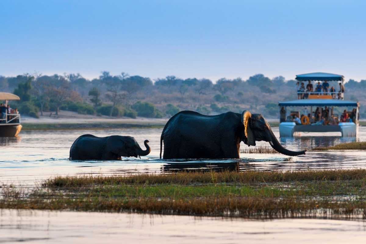 Explore & Travel Africa - Botswana Safaris