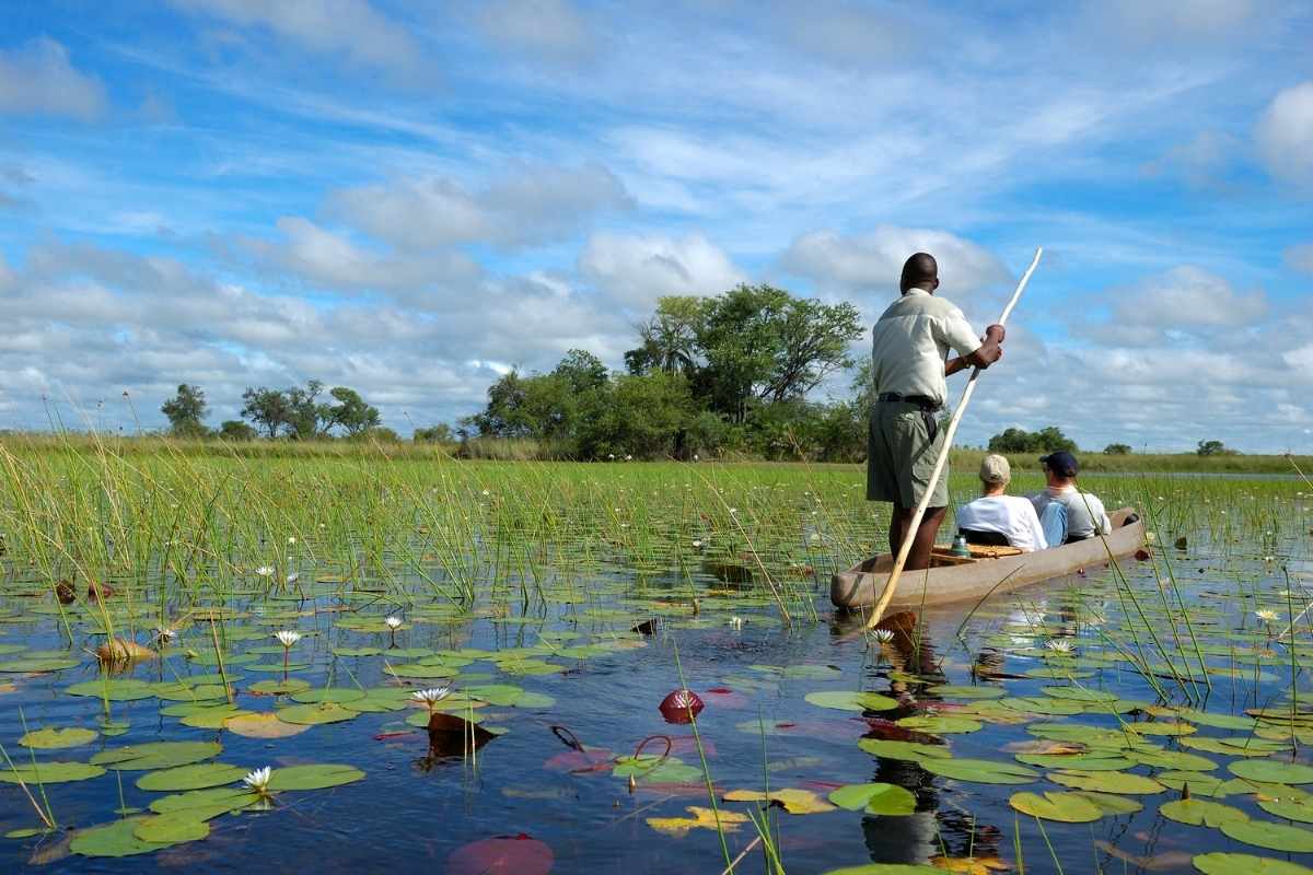 Explore & Travel Africa - Botswana Safaris