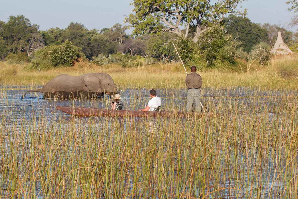 Explore & Travel Africa - Botswana Safaris 