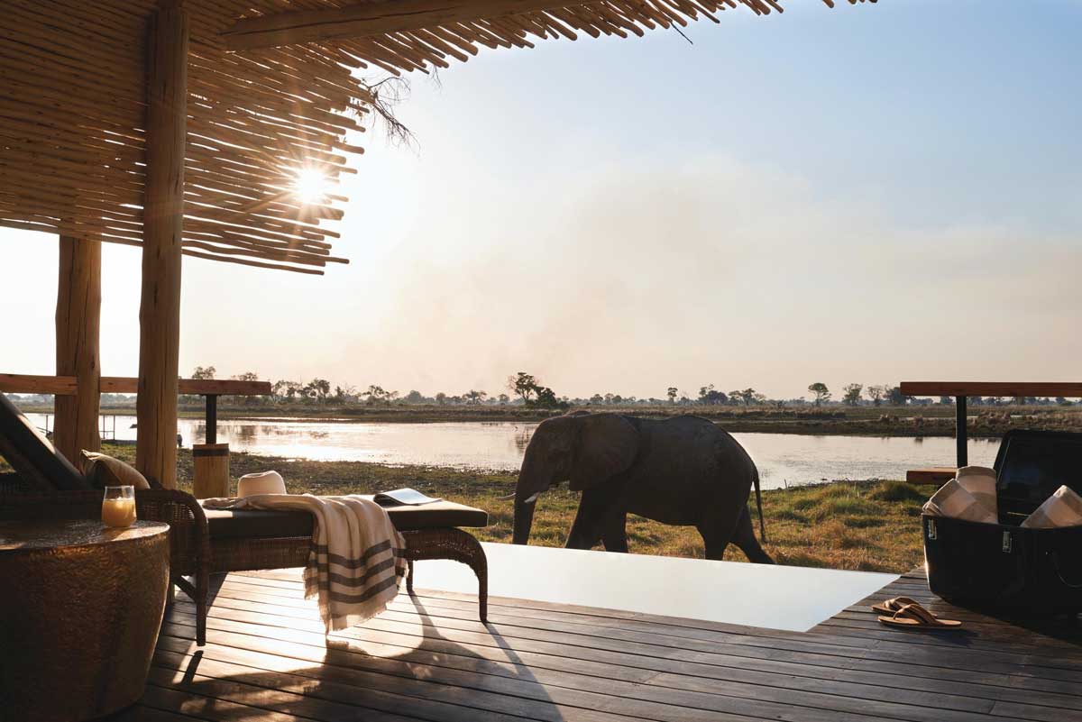 Explore & Travel Africa - Botswana Safaris 