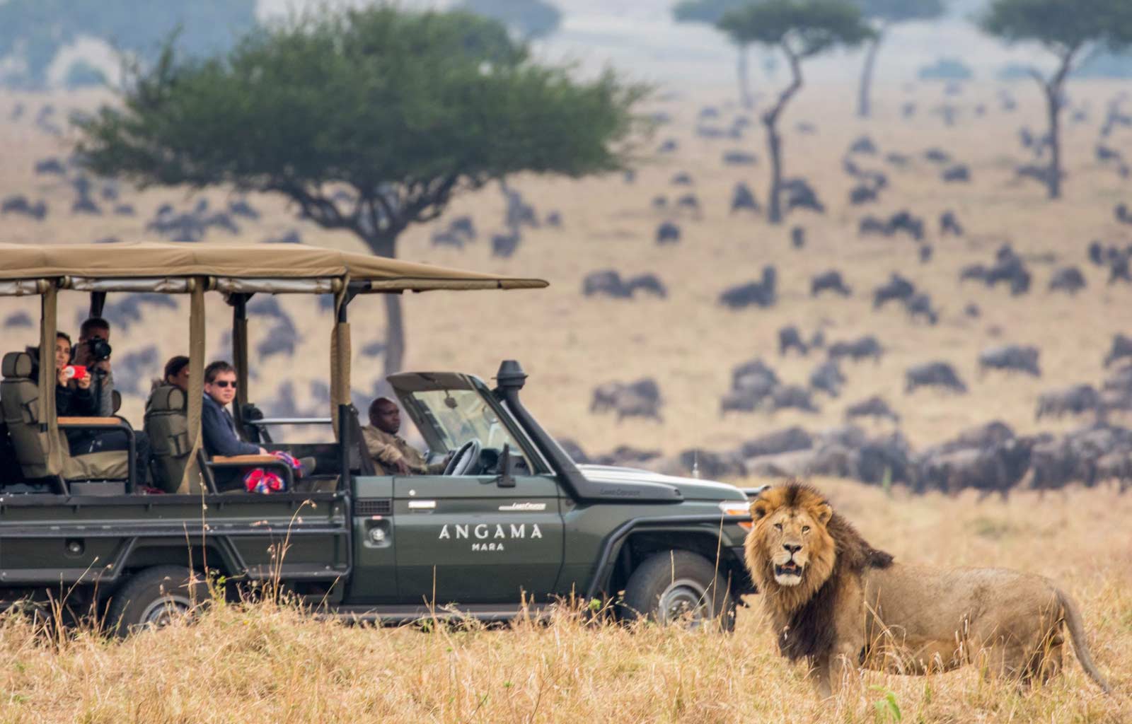 Explore & Travel Africa Kenya Safari From Bush To Beach With Angama Mara And Alfajiri Villas