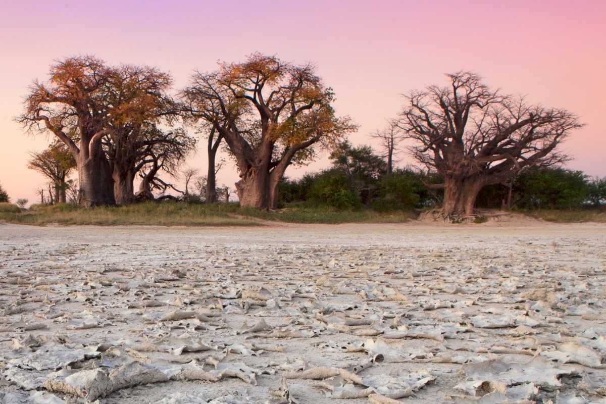 Explore & Travel Africa - Botswana Travel Guide