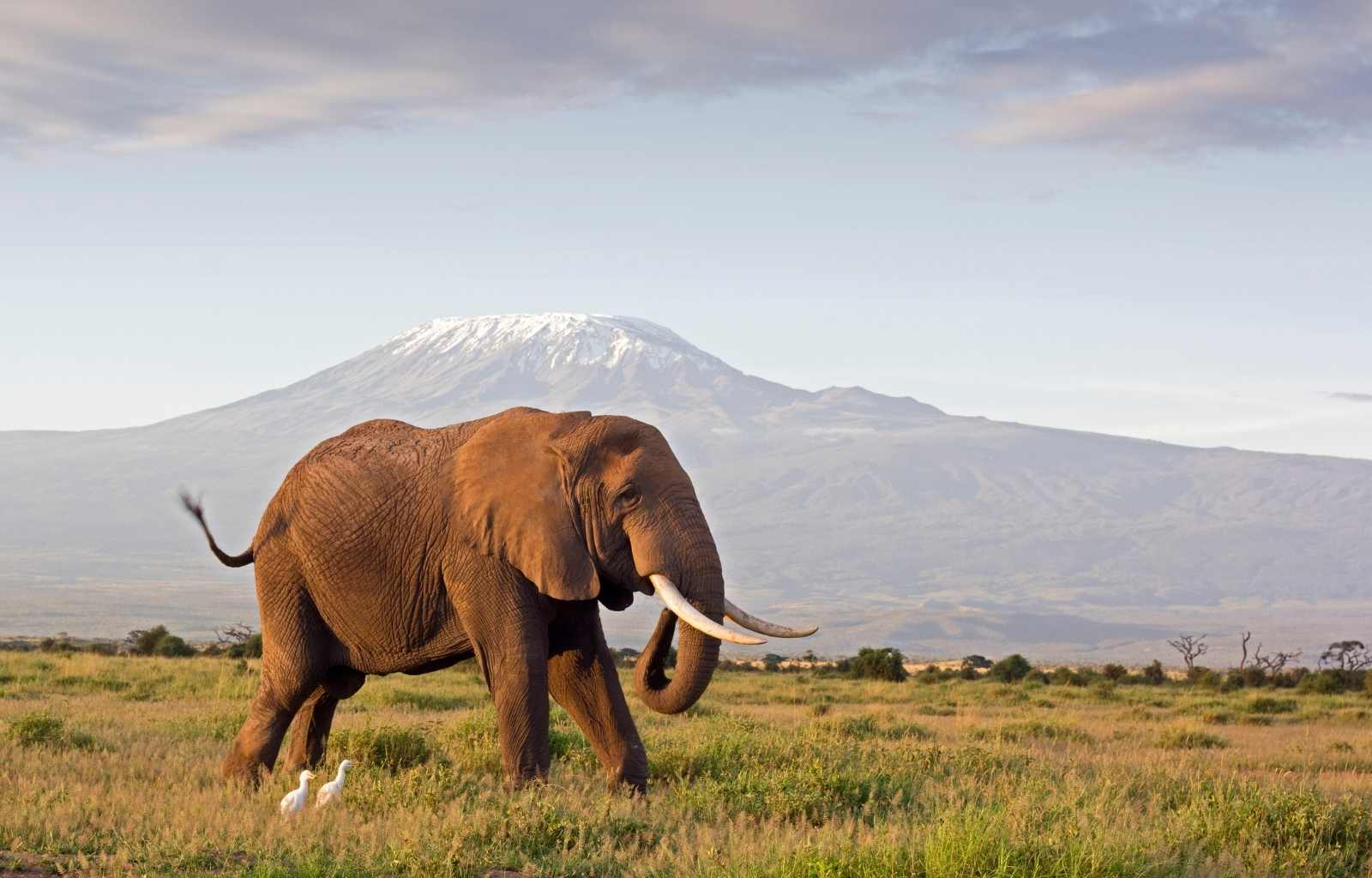 Explore & Travel Africa-Kenya Safari by Elewana