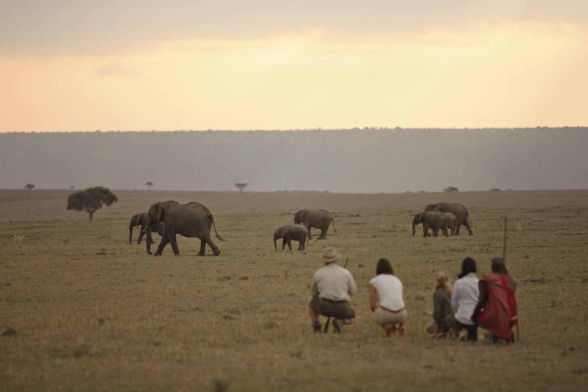 Explore & Travel Africa-Kenya Safari by Elewana Elephant Pepper Camp
