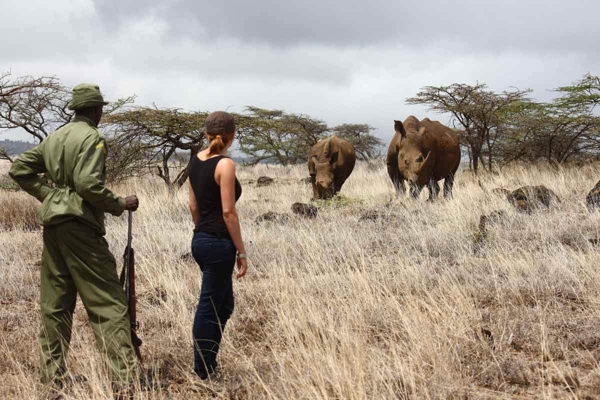 Explore & Travel Africa-Kenya Safari by Elewana Lewa Safari Camp