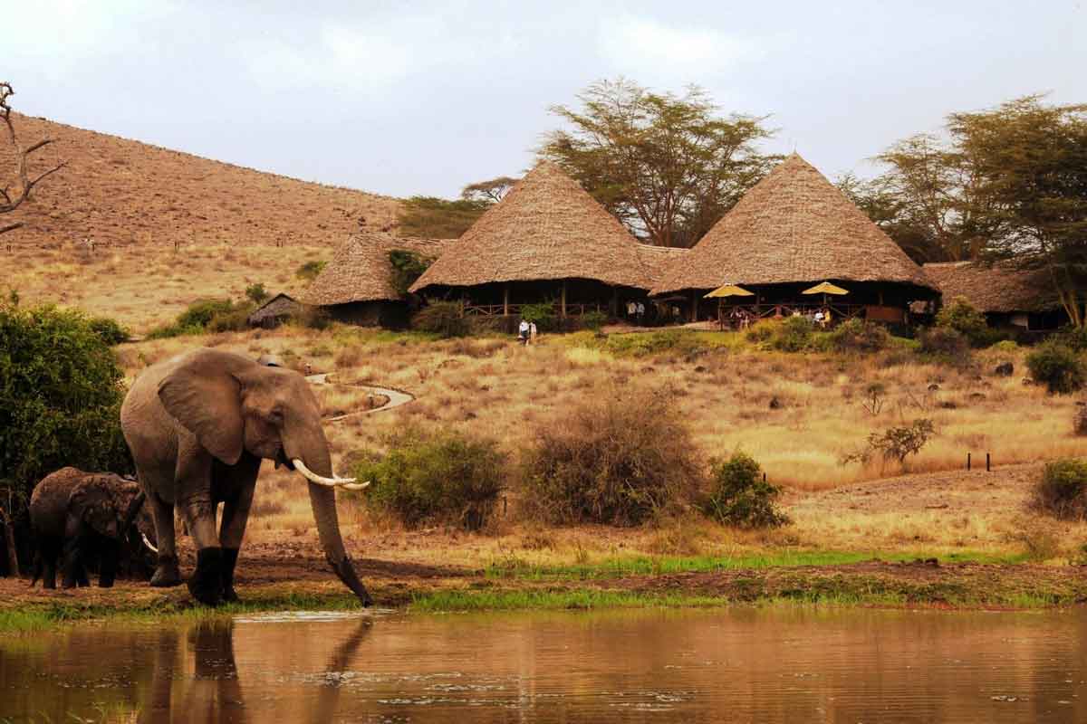 Explore & Travel Africa-Kenya Safari by Elewana Tortilis Camp