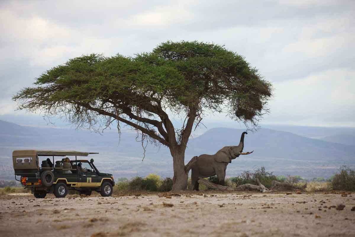 Explore & Travel Africa-Kenya Safari by Elewana Tortilis Camp