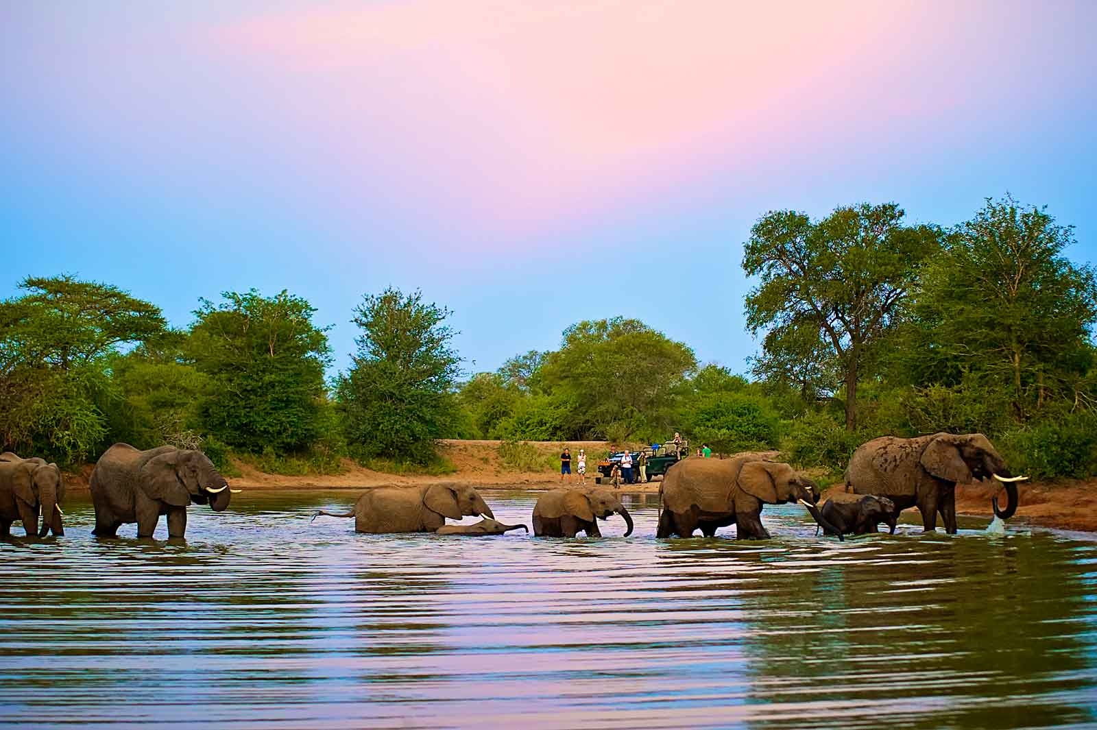 Kruger Park Tours And Safaris Explore & Travel Africa