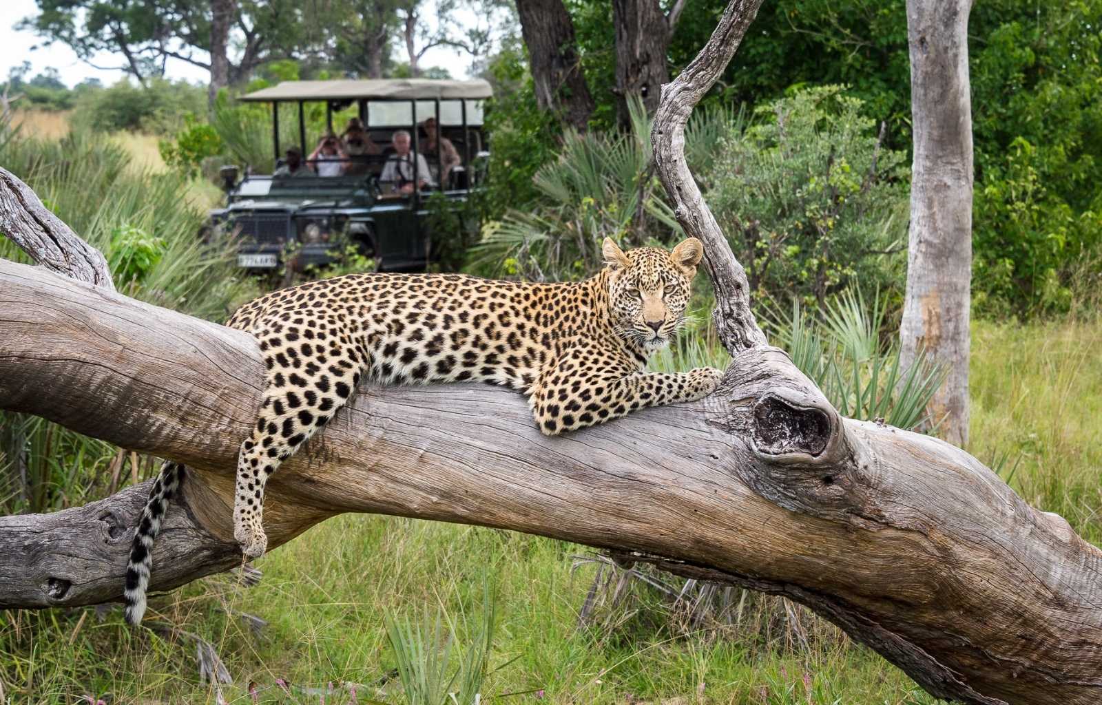 Explore & Travel Africa-Wilderness Safaris Botswana-