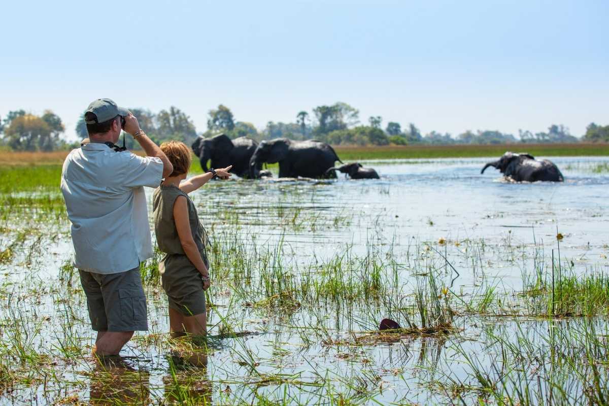 Explore & Travel Africa-Wilderness Safaris Botswana-