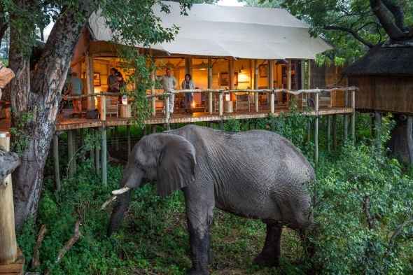 Explore & Travel Africa-Wilderness Safaris Botswana-