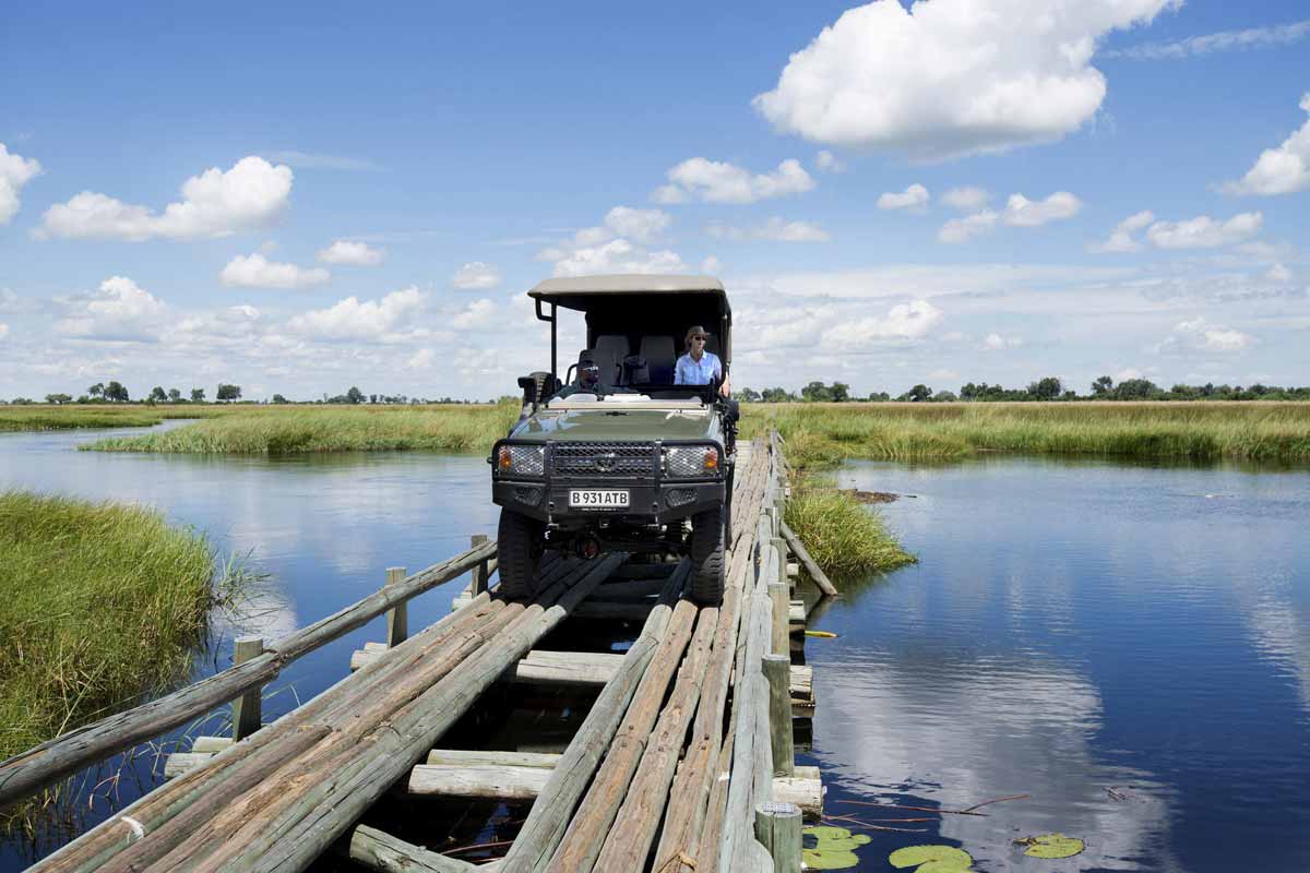 Explore & Travel Africa - The Best of Botswana Safari - Duba Plains Camp 