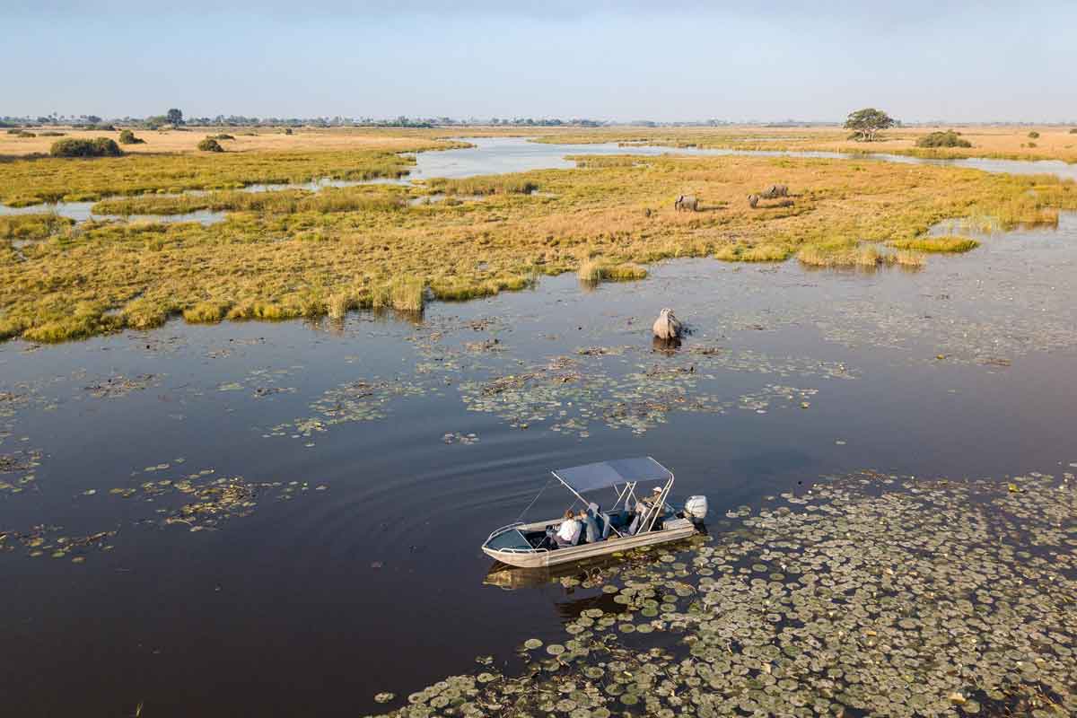 Explore & Travel Africa - The Best of Botswana Safari - Selinda Camp