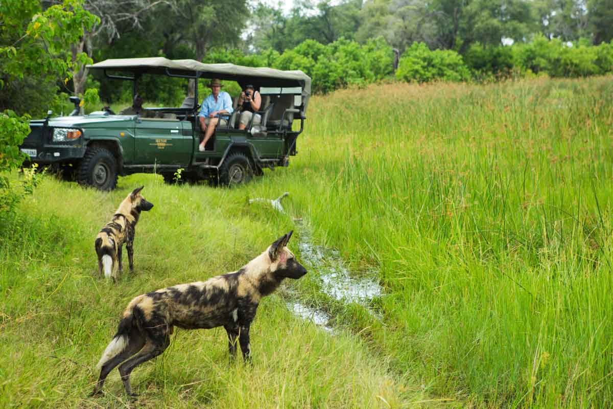 Explore & Travel Africa - The Best of Botswana Safari - Selinda Camp