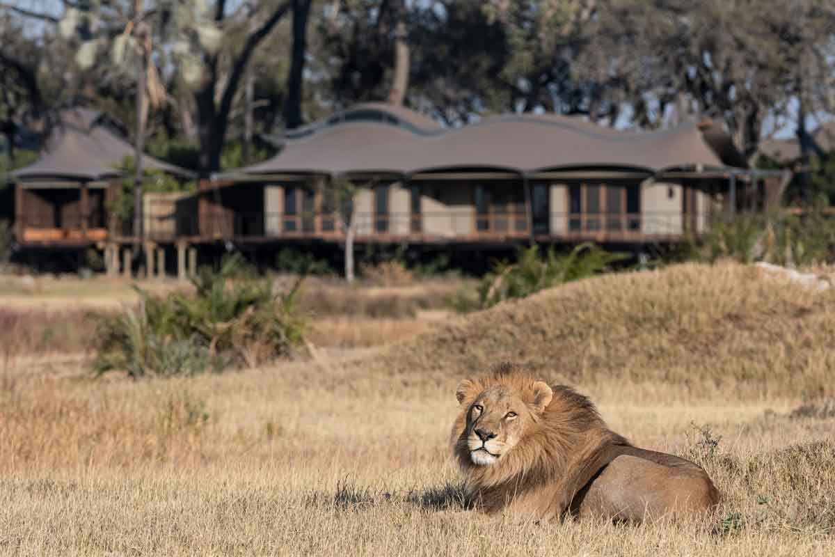 Explore & Travel Africa - The Best of Botswana Safari - Xigera Safari Lodge