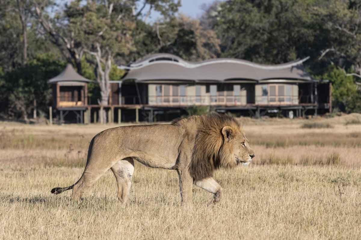 Explore & Travel Africa - The Best of Botswana Safari - Xigera Safari Lodge