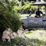 Explore & Travel Africa - Wilderness Safaris