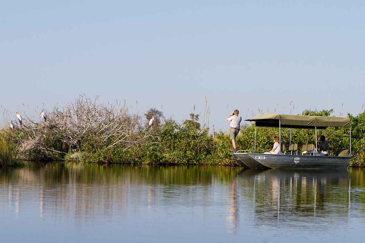 Explore and Travel Africa-Camp Moremi Authentic Botswana Safari