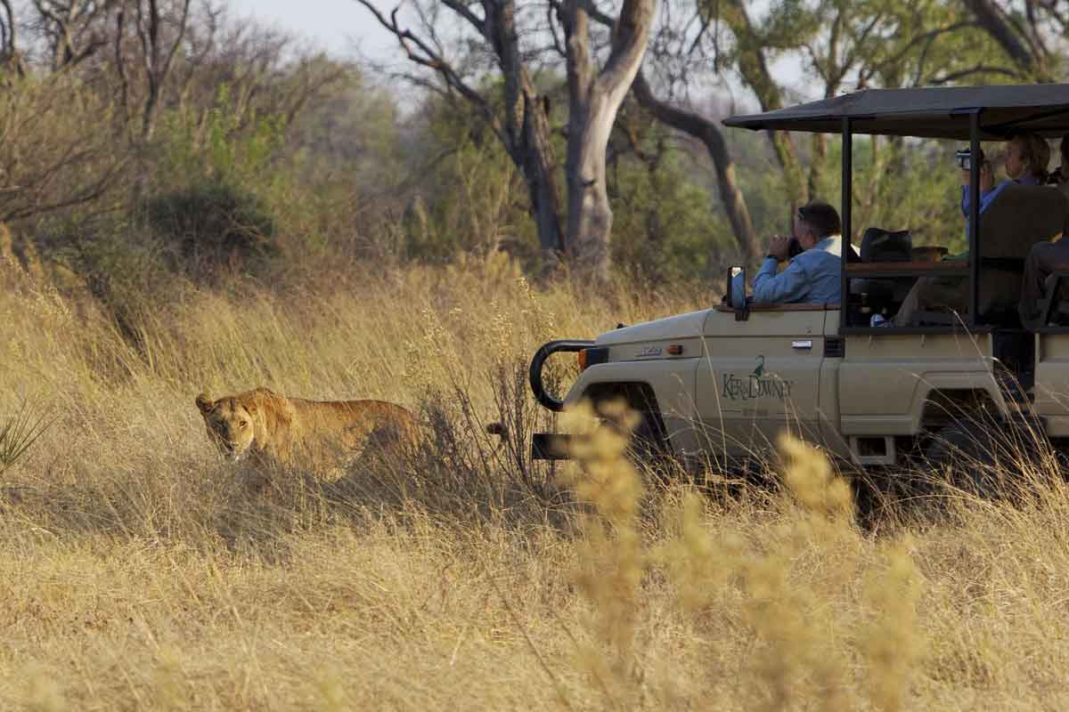 Explore and Travel Africa-In-Depth Okavango Delta Safari - Kanana Camp