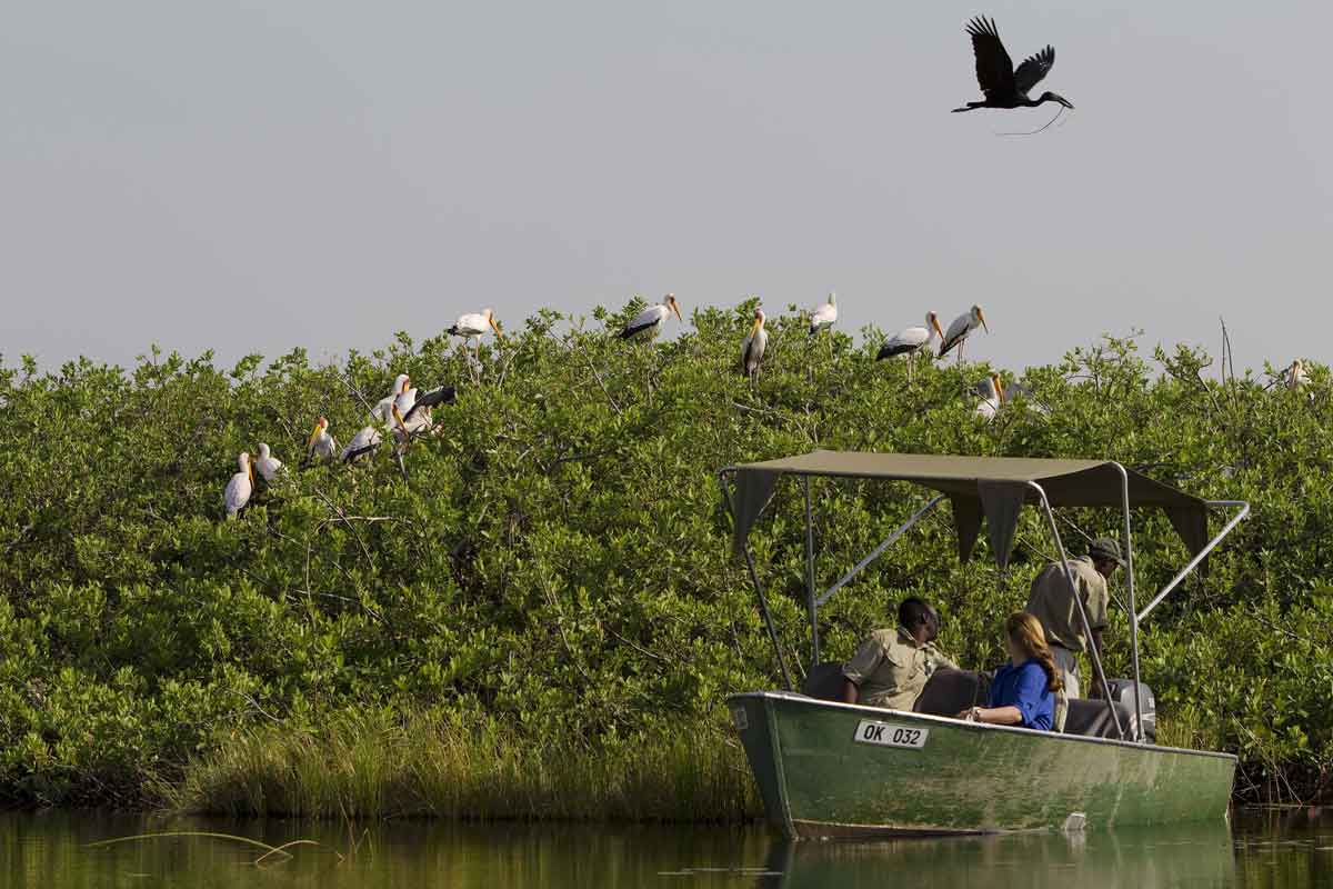 Explore and Travel Africa-In-Depth Okavango Delta Safari - Kanana Camp 