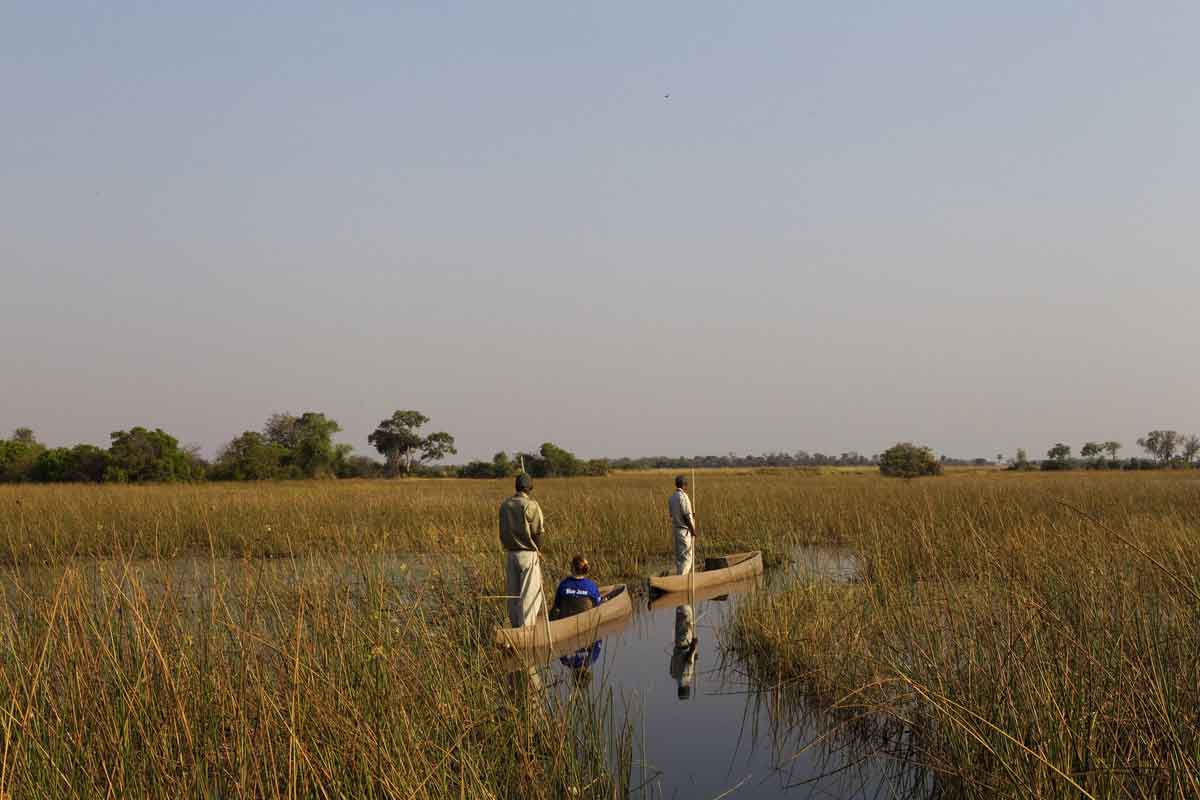 Explore and Travel Africa-In-Depth Okavango Delta Safari - Kanana Camp 