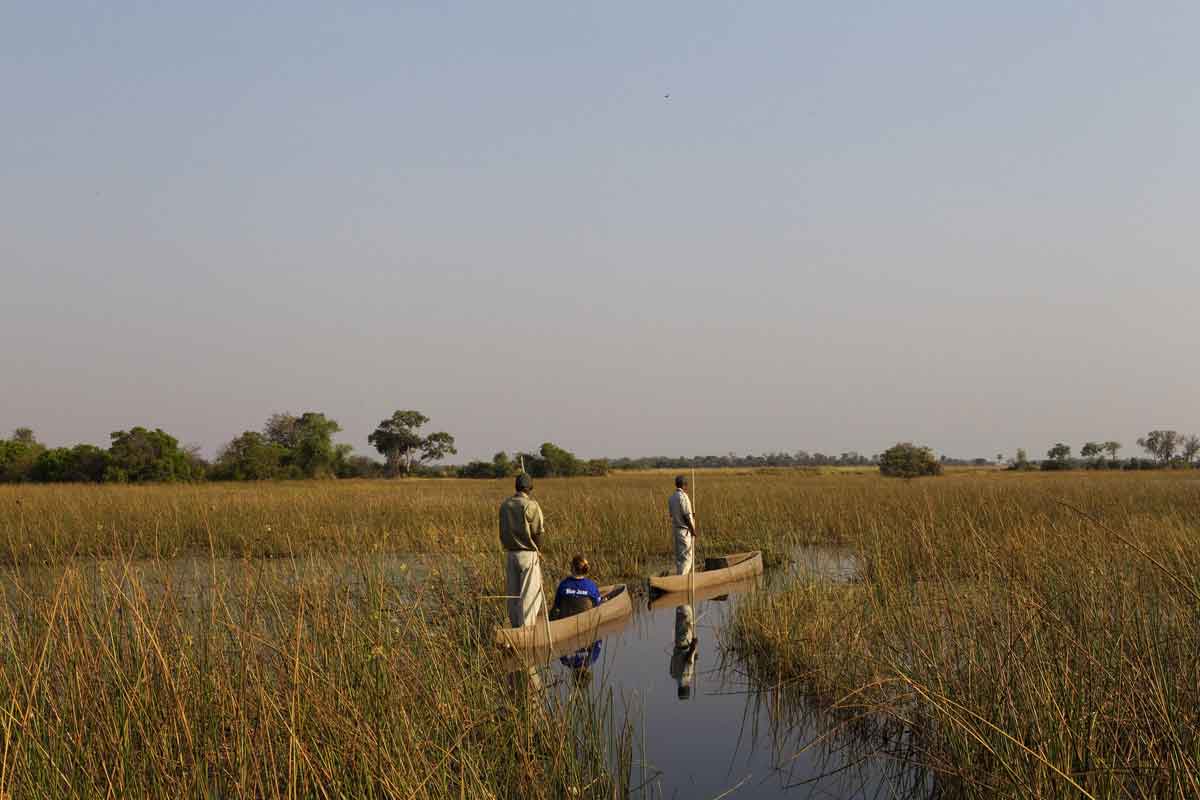 Explore and Travel Africa-In-Depth Okavango Delta Safari - Kanana Camp