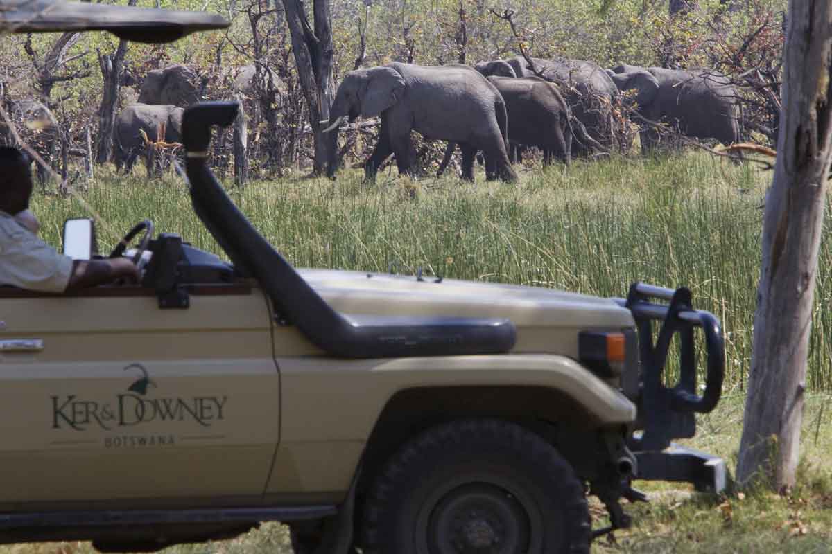 Explore and Travel Africa-In-Depth Okavango Delta Safari-Okuti Camp