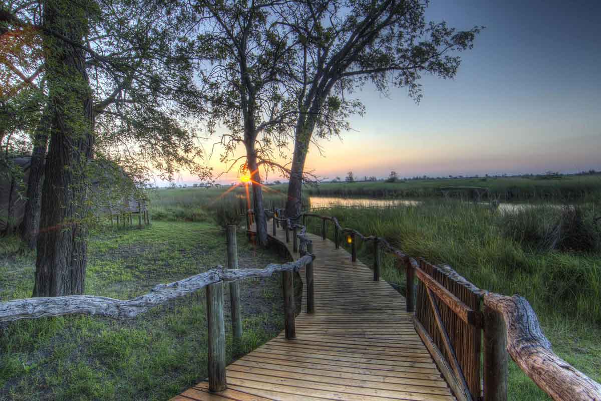 Explore and Travel Africa-In-Depth Okavango Delta Safari-Okuti Camp (7)