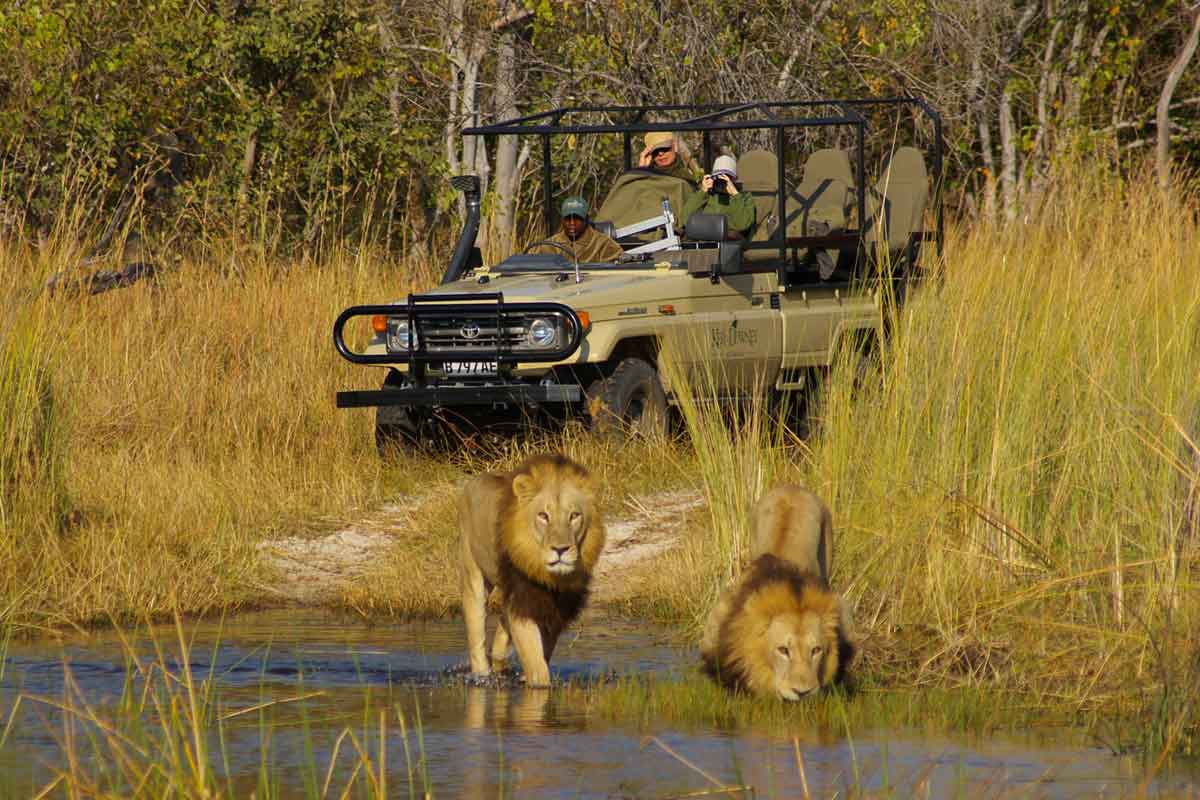 Explore and Travel Africa-In-Depth Okavango Delta Safari-Okuti Camp