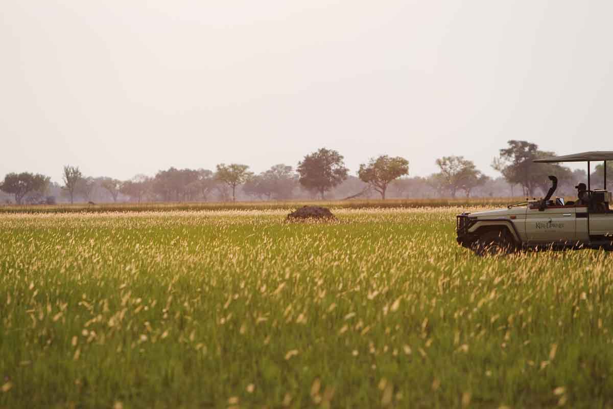 Explore and Travel Africa-In-Depth Okavango Delta Safari - Shinde Camp 