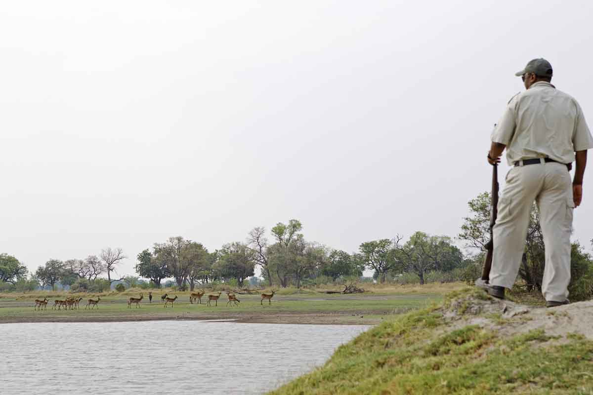 Explore and Travel Africa-In-Depth Okavango Delta Safari - Shinde Camp 