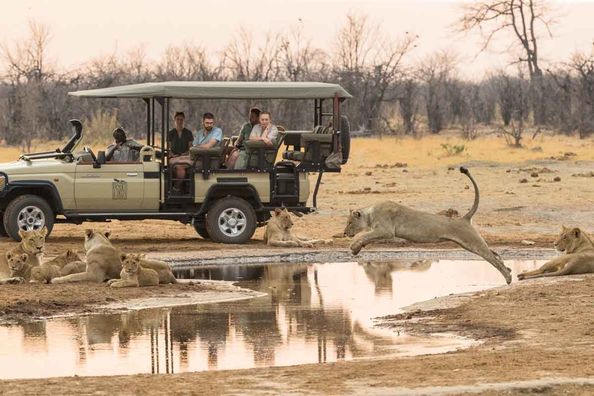 Explore and Travel Africa-Savuti Safari Lodge Authentic Botswana Safari