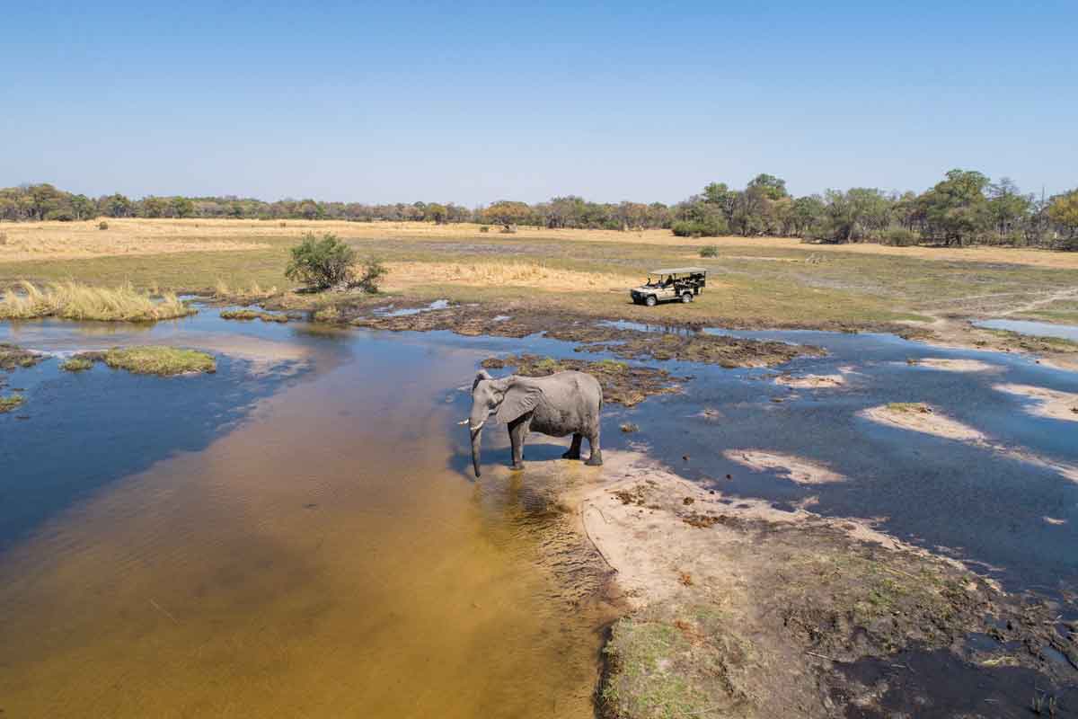 Explore and Travel Africa- Xugana Island Lodge Authentic Botswana Safari (10)